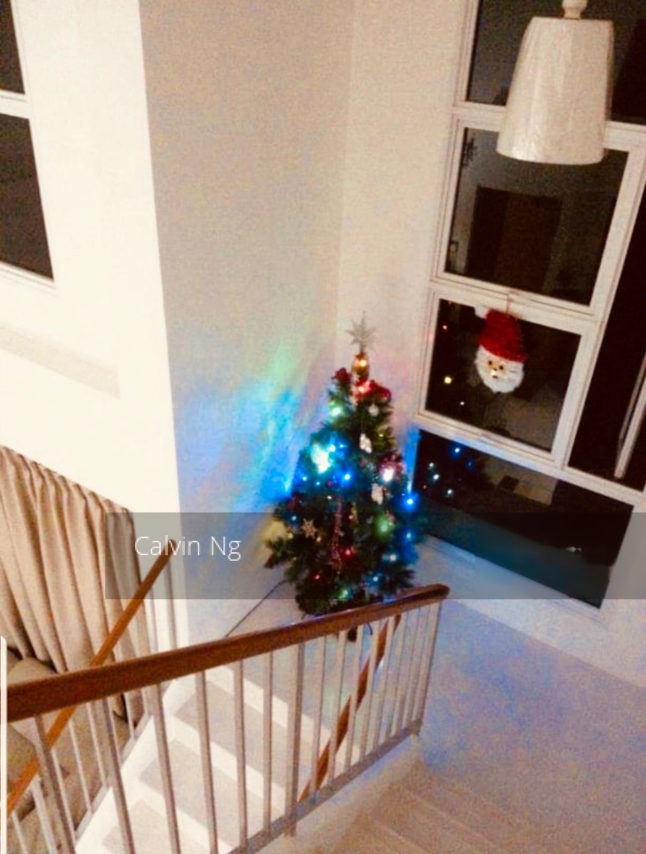 Blk 267B Punggol Field (Punggol), HDB Executive #198638132